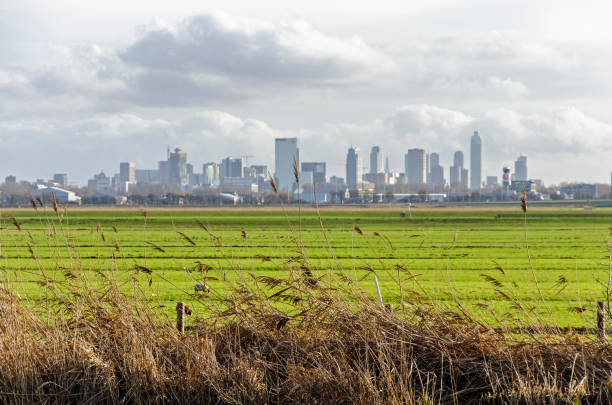 istock Reeds and the city 2201023831