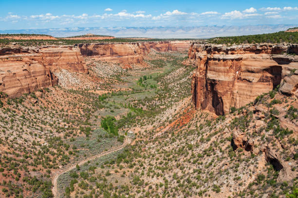istock Overlook at Colorado National Monument 2201024672