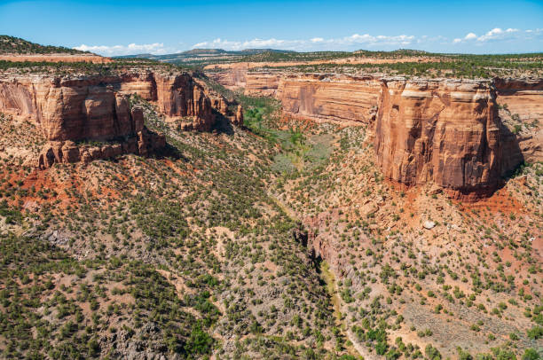 istock Overlook at Colorado National Monument 2201024997