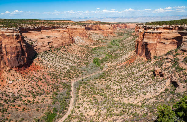 istock Overlook at Colorado National Monument 2201025008