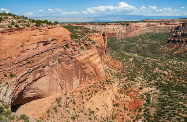 istock Overlook at Colorado National Monument 2201025169