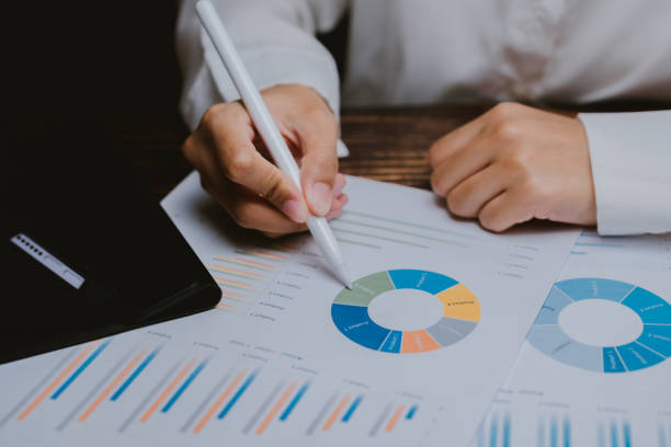 istock Detailed Analysis of Business Reports with Charts and Graphs 2201031369