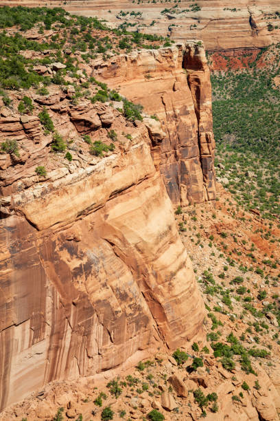 istock Overlook at Colorado National Monument 2201032402
