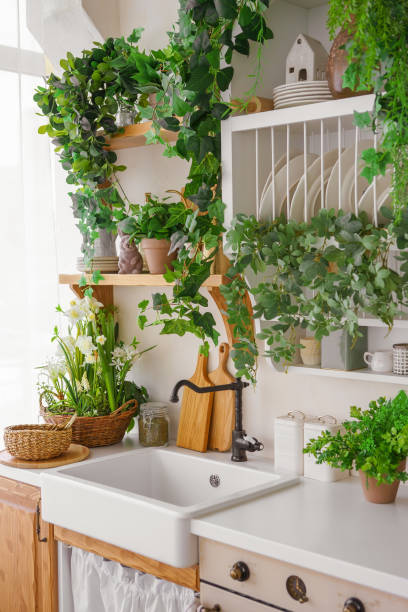 istock Cozy kitchen corner with fresh plants and a rustic sink for daily meal preparation, home interior 2201033833