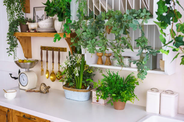 istock Stylish kitchen corner featuring plants, utensils, and vintage scales for cozy spring atmosphere 2201033856
