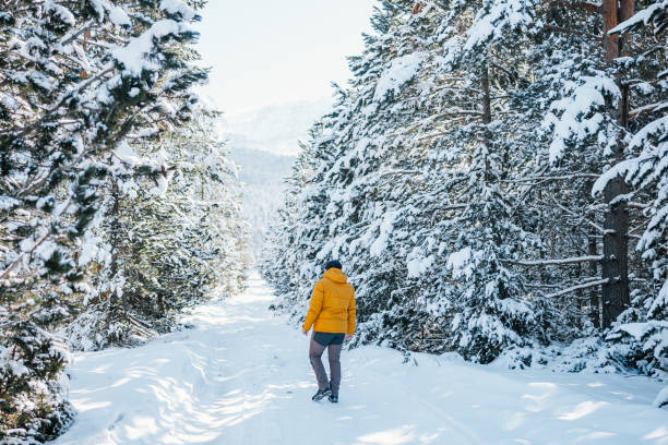 istock Portrait of  smiling young man in winter forest 2201035129