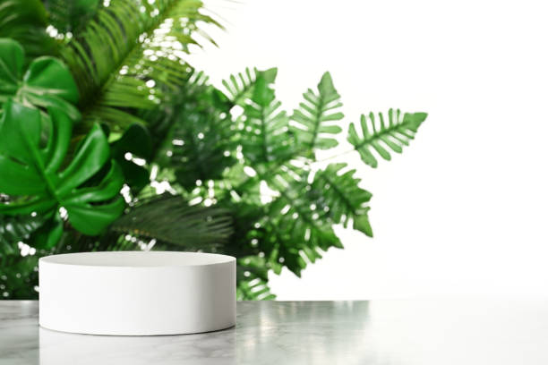 istock Mockup with circle stand and tropical leaves 2201035644