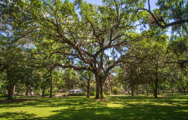 istock Historic Savannah, Georgia on a Sunny Summer Day 2201037333