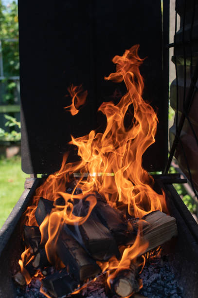 istock Vivid Backyard Barbecue Fire Igniting Charcoal and Wood 2201041310