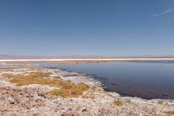 Barren salt flats surround a tranquil lagoon under a clear blue sky. Sparse vegetation lines the shore. Expansive desert scene meets serene water oasis.