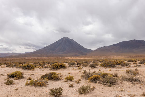 Tall volcano under a moody sky with sparse vegetation. Volcanic landscape showcasing sparse flora. Natural scene highlighting geological formations.