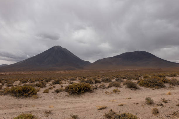 Tall volcano under a moody sky with sparse vegetation. Volcanic landscape showcasing sparse flora. Natural scene highlighting geological formations.