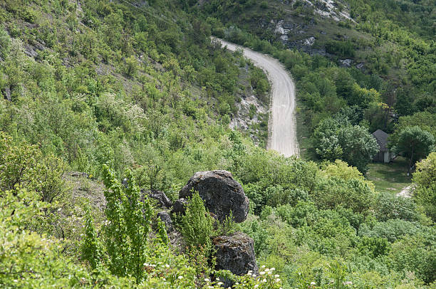 Rural landscape.