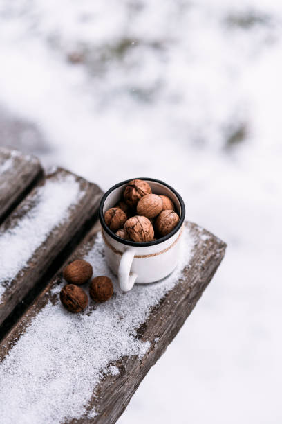 walnuts in a white mug on a snowy wooden background