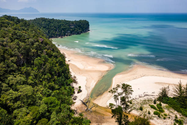 istock Dense tropical jungle and an empty sandy beach at Bako in Sarawak state, Borneo 2201054146