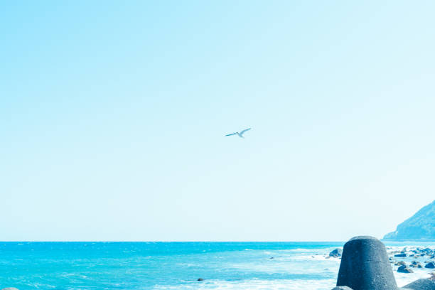 It is a beautiful landscape in Izu.Ocean