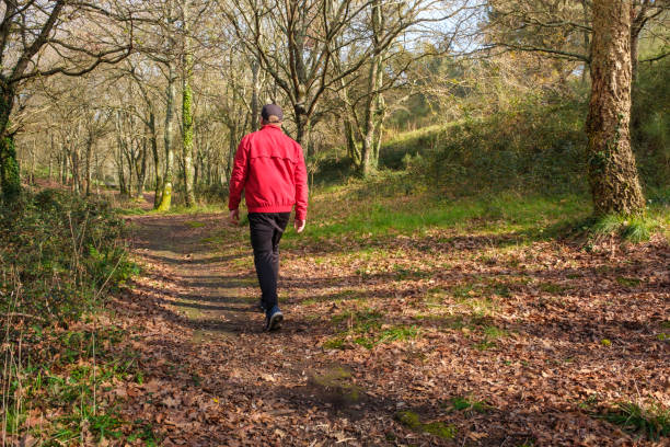 istock Man walking on a path in the woods enjoying nature 2201076677