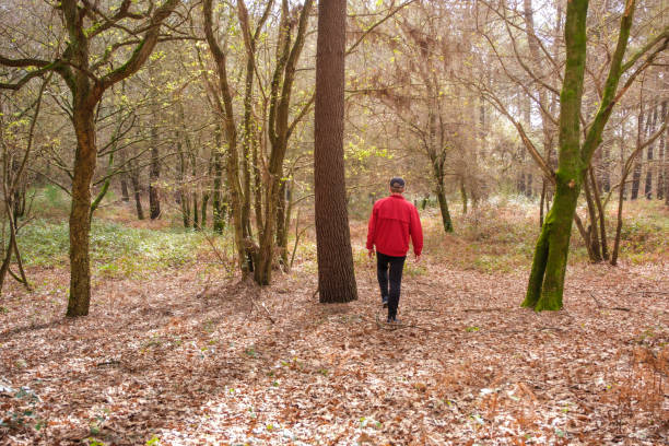 istock Man walking on a path in the woods enjoying nature 2201077279
