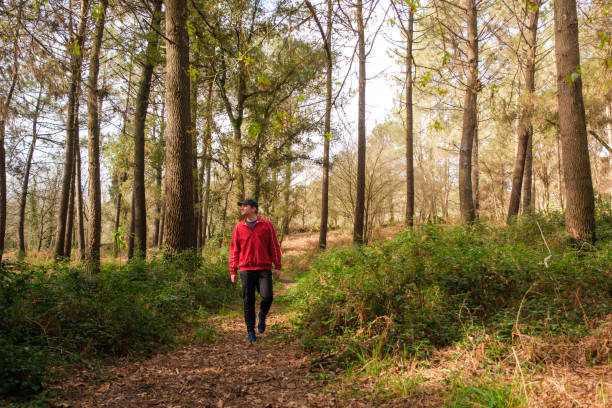 istock Man walking on a path in the forest on a sunny day 2201077618