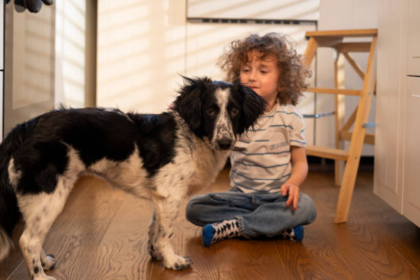 istock Cute little boy playing with his dog 2201081345