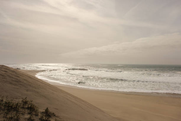 Scenic view of ocean waves crashing on a sandy beach shore from a sand dune perspective