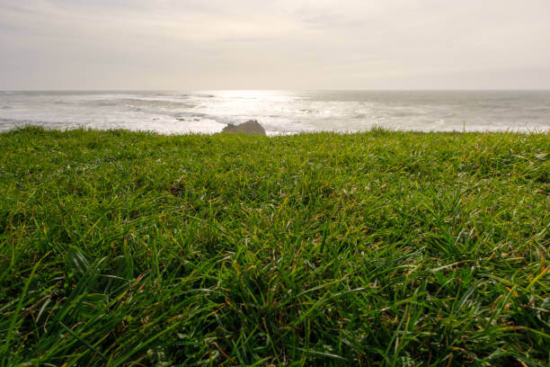 Green grass field by the coast overlooking the ocean with waves crashing on a cloudy day