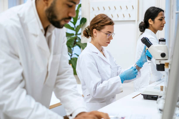 istock Diverse Researchers Working in a Modern University Laboratory 2201085752