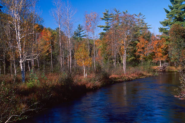 Established in 1838, is popular for hiking, fishing, camping, boating, snowmobiling, cross country skiing and hunting.  This is the highest point in the lower peninsula and is 540,187 acres.