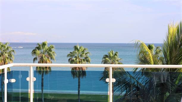 istock Ocean sparkles under sun, palm trees frame shore, palm shadows dance, hotel rises above water, hotel reflecting light, tourist relaxing, tourist feeling ocean serenity. 2201086524