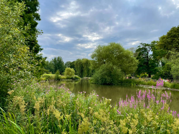 istock Pond In A Public Garden, Edinburgh, Scotland 2201094490