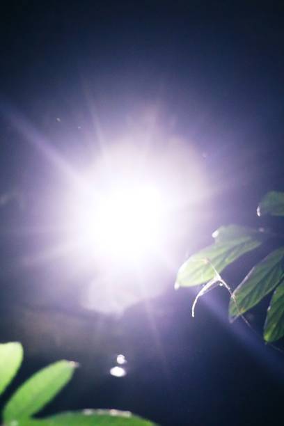 Male hand holding a flashlight on a black background. Lens flare in the dark.