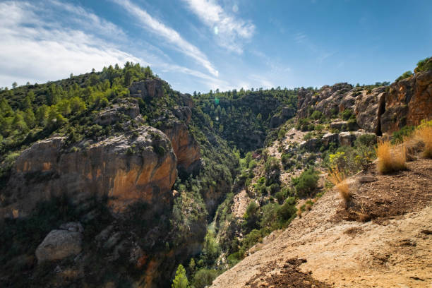 istock landscape of Rocky Cliffside Path Overlooking Lush Green Valley with Expansive Sky View 2201097818