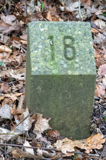 istock Mossy milestone number eighteen marking distance in forest path 2201100539