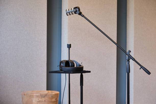 istock Professional microphone and headphones in studio 2201101190