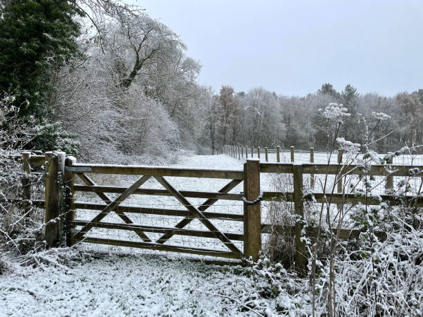 istock Wooden Farm Gate Into A Snowy Paddock, Northamptonshire, England 2201101565