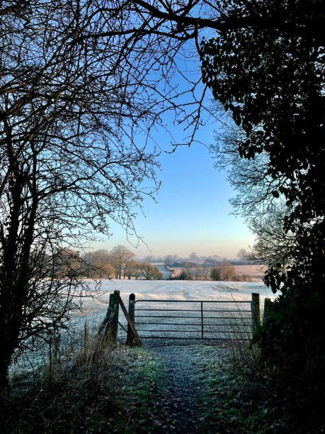 istock Footpath Leaving The Woods Into A Field, Northamptonshire, England 2201101800
