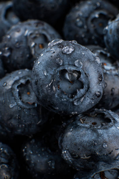 istock Fresh Blueberries with Water Droplets Close-Up 2201104200