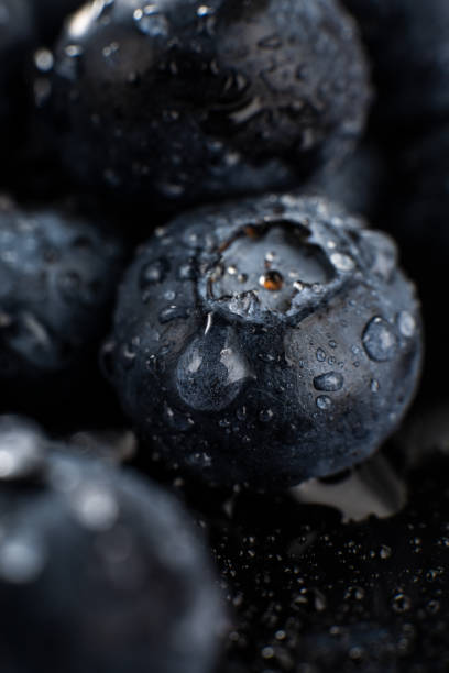istock Fresh Blueberries with Water Droplets Close-Up 2201104202