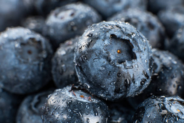 istock Fresh Blueberries with Water Droplets Close-Up 2201104305