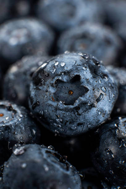 istock Fresh Blueberries with Water Droplets Close-Up 2201104307