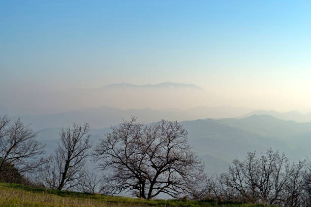 misty landscape in val d'orcia