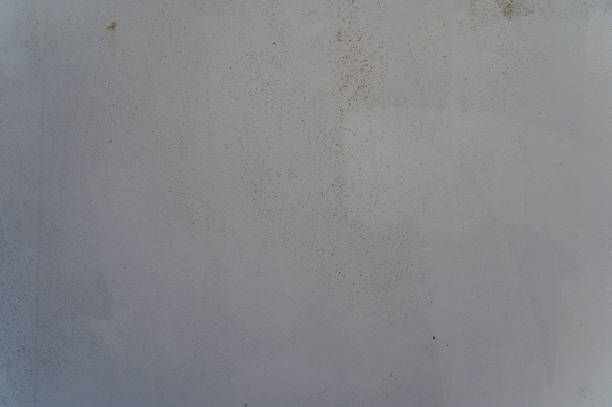 Textured wall exhibits subtle hues and imperfections in a soft, muted light during the early afternoon