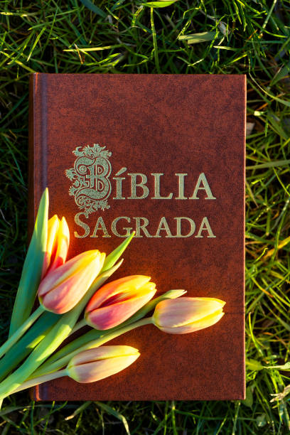 Portuguese Holy Bible with (Biblia Sagrada) placed on fresh green grass, adorned with a small bouquet of tulips, symbolizing faith and renewal.