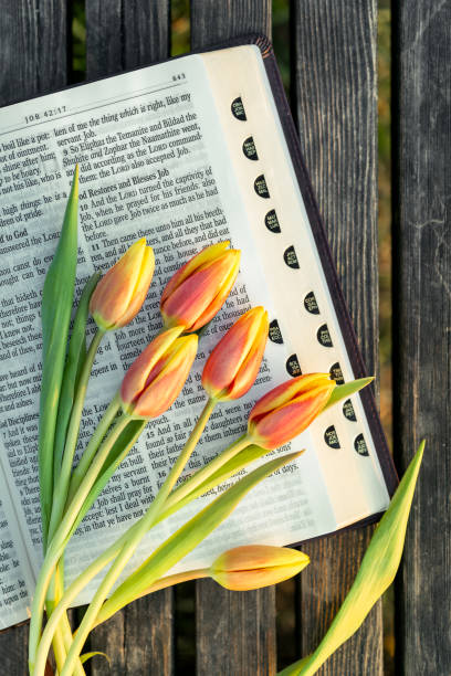 Holy Bible with an ornate cover placed on fresh green grass, adorned with a small bouquet of tulips, symbolizing faith and renewal.