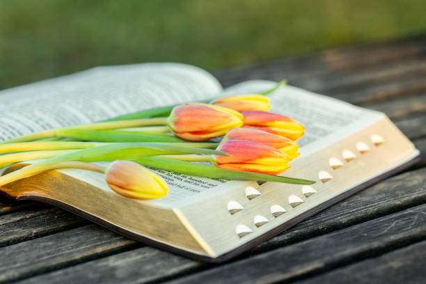 Holy Bible with an ornate cover placed on fresh green grass, adorned with a small bouquet of tulips, symbolizing faith and renewal.