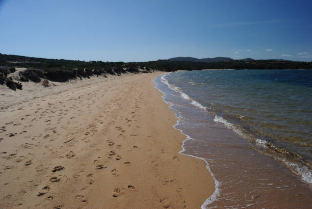 istock The beach of Padula Piatta or Cala Petralana 2201113451