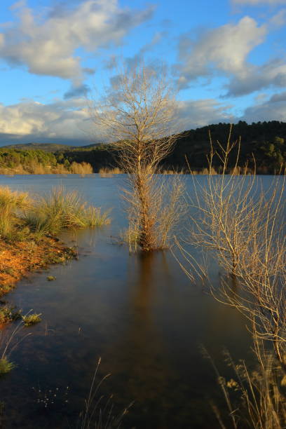 istock Couple reservoir with silk effect water and a tree as the protagonist 2201114001