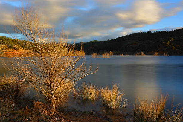 istock Couple reservoir with silk effect water and a tree as the protagonist 2201114005