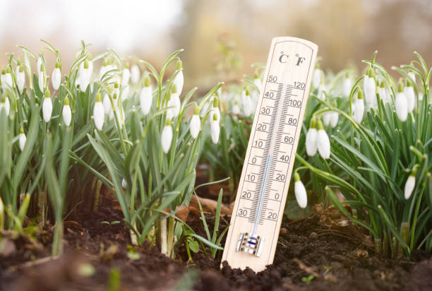 istock Thermometer with snowdrop flowers on a meadow, sunny day in spring, measure the temperature, weather forecast 2201118769