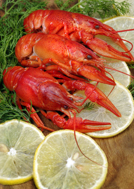 colorful live crayfish for sale in Ioannina